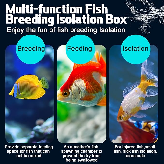 2 Pcs Breeder Box for Fish Tank Aquarium Breeder Separation Net Breeding Box with Suction Cup for Small Fish Shrimp Clownfish Guppy(Blue,M)