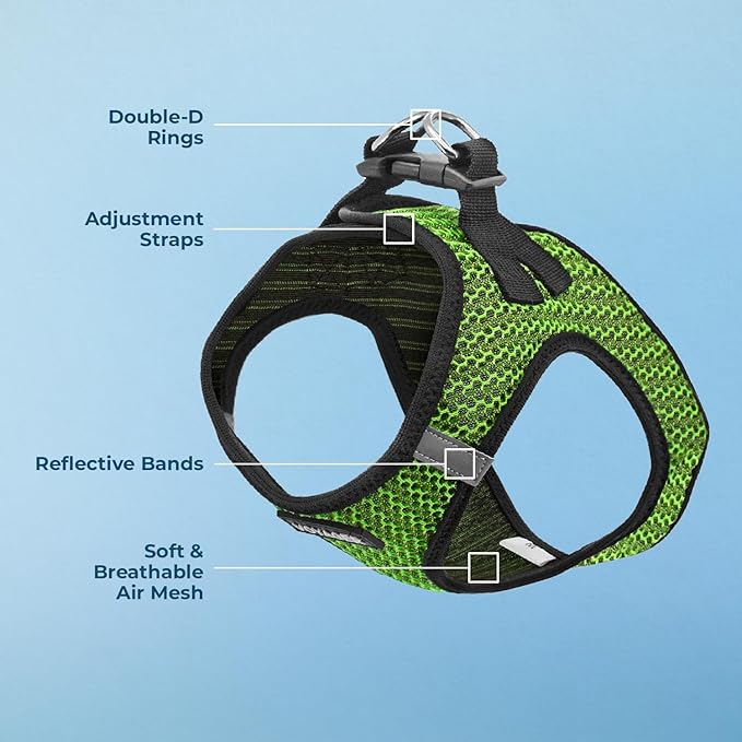 Best Pet Supplies Voyager Step-in Air Harness - All Weather Mesh, Reflective, No Pull Harness for Dogs, Cats - Secure with Hook & Loop Fastener, Buckle, Double D-Rings - Lime Green 2-Tone, L