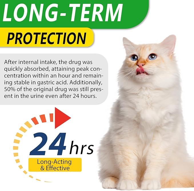 Antibiotics for Cats, Natural Antibiotic Pet Supplements Supports Immune & Cats Allergy Relief, Cat Multivitamin UTI Drops for All Ages & Breeds of Cat, Chicken Flavour - 2 Fl Oz / 1 Pack