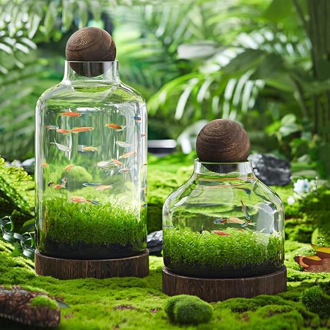 Glass Aquarium with Wooden Base, Microecosphere Fish Tank, Transparent Bottle-Shaped Batta Fish Bowel, Micro-Landscape Ecological Aquarium, Modern Glass Goldfish Tank,L