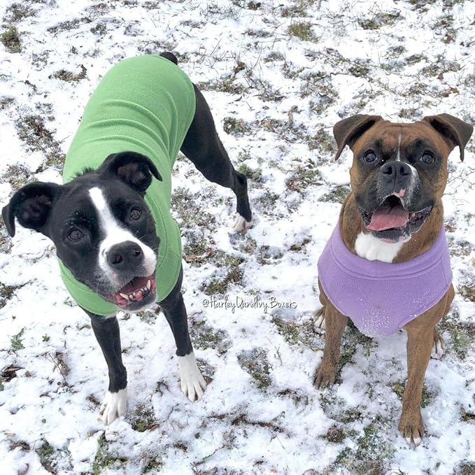 Gooby Stretch Fleece Vest Dog Sweater - Grass Green, 6X-Large - Warm Pullover Super Stretchy Fleece Dog Jacket for Small to Large Dogs