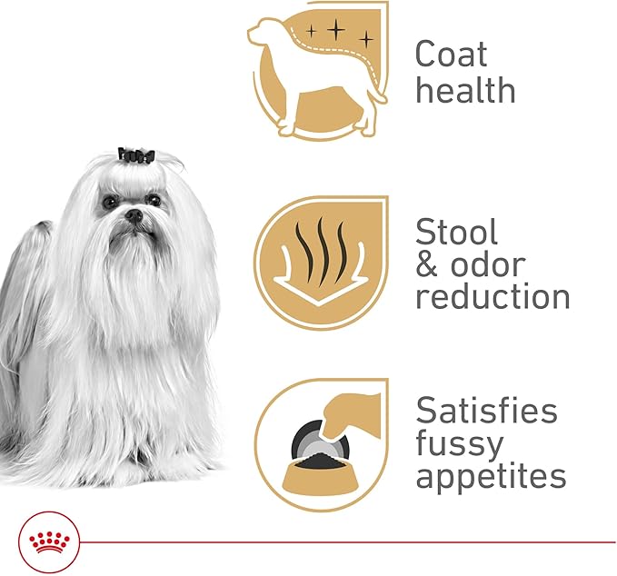 Royal Canin Breed Health Nutrition Maltese Adult Dry Dog Food, 10 lb Bag