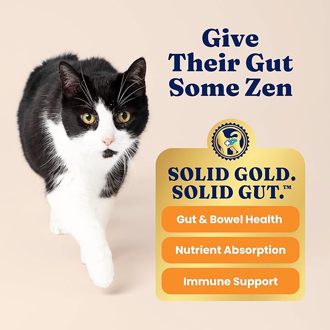 Solid Gold Indoor Dry Cat Food - Grain Free & Gluten Free - Chicken Cat Food Dry Kibble for Indoor Cats for Gut Health - Sensitive Stomach & Hairball Support for Adult Cats - 12LB