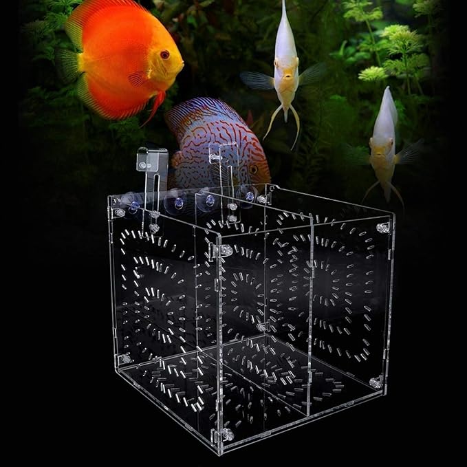 EVTSCAN Aquarium Breeder Box for Fish Tank, Fish Breeding Box Tank Hatchery Incubator Aquarium Isolation Box for Seedlings Incubation(L)