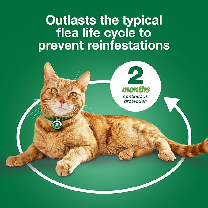 Advantage XD Large Cat Flea Prevention & Treatment For Cats over 9lbs. | 4-Topical Doses, 2-Months of Protection Per Dose