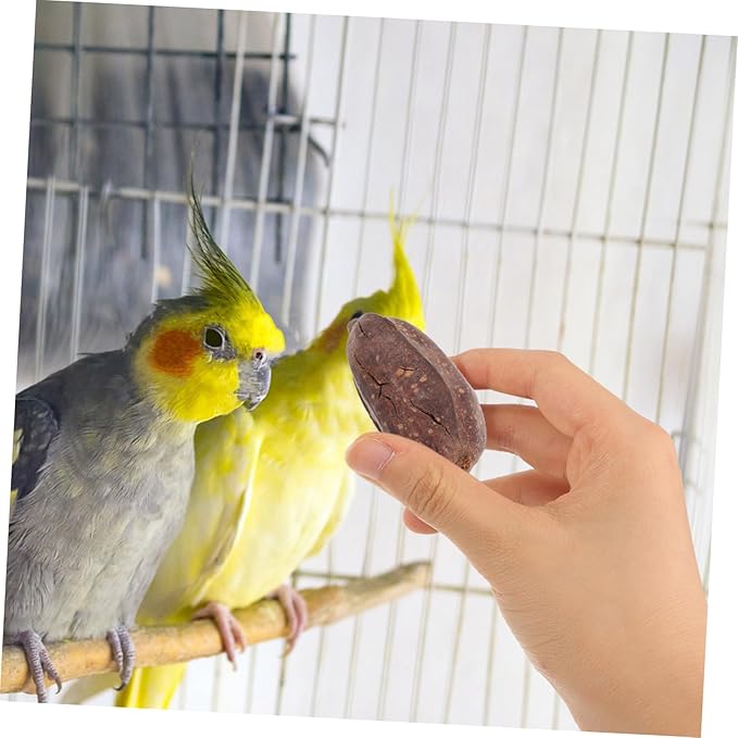8pcs Natural Dried Fruit Bird Chew for Parrots Macaws Conures Mental Stimulation Foraging Shredding Cage Accessories to Reduce Loneliness