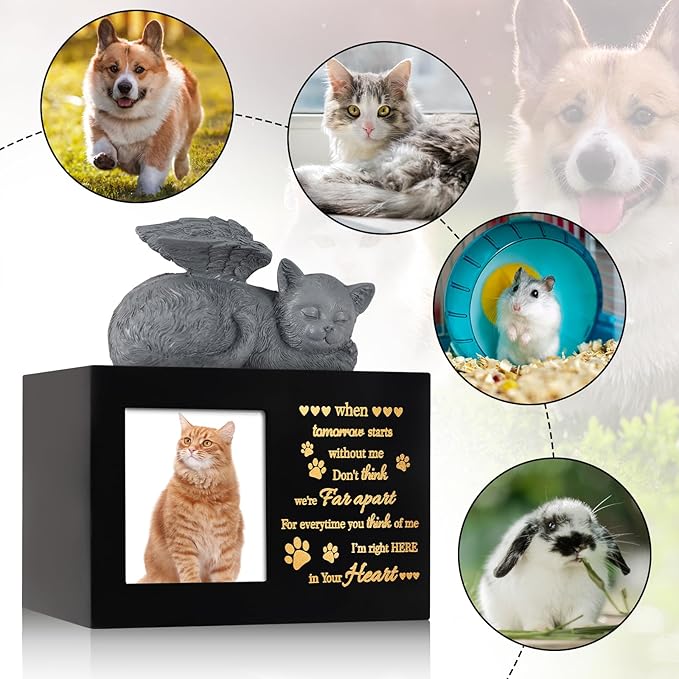 Pet Urns for Ashes, Black Wooden Cat Urns for Ashes with Cat Angel, Cat Memorial Keepsake Memory Box with Photo Frame, Loss Pet Sympathy Remembrance Gift (Medium - Memory)
