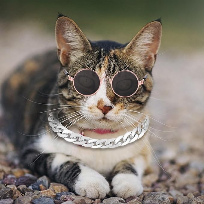 Cat Costume Sunglasses with Collar Chain, Retro Pet Eyeglasses Funny Kittens Costume Docorations Cosplay Dog Puppies Photo Props for Birthday (Silver)