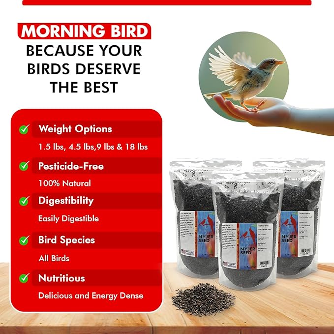 Morning Bird Nyjer Seed for Birds 4.5 lbs (3-Pack, 1.5 lbs Each) – Rich in Natural Healthy Fats – Ideal for Breeding & Molting – Premium Bird Food for Canaries and Other Seed-Eating Birds