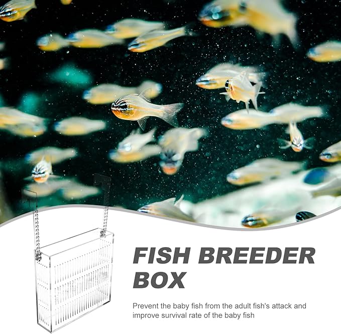 Fish Breeding Box for Aquariums Lightweight Isolated Breeder Tank Viewing for Guppies and Newborns Easy to Install Hanging Design