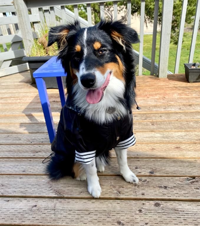 Morezi Dog Zip Up Raincoat with Reflective Buttons, Rain/Water Resistant, Adjustable Drawstring, Removable Hood, Raincoats with Legs 8lbs to 80lbs Available - Black - XXL