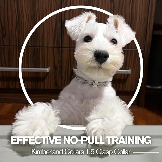 Clasp 1.5mm Stainless Dog Training Collar for Small Breeds | 8'' Micro Prong Collar | Dogs 6-26lbs | No-Pull Collar | Behavior Aid