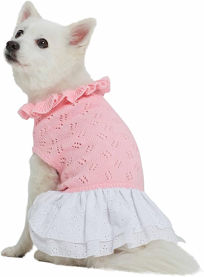 Blueberry Pet My Cutie Princess Ruffle Collar Dog Sweater Dress with Guipure Lace, Pink, Back Length 16", Fall Winter Clothes for Girl Dogs