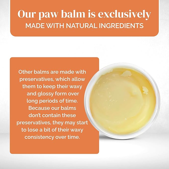 Dog Paw Balm - 2 oz of Paw Wax - Lick-Safe Soother for Dry and Cracked Paws with Coconut Oil, Jojoba Oil, and Vitamin E - Protects Against Snow, Ice, Hot Pavement - Made in The USA