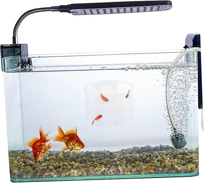 Fish Breeding Box with Transparent Cover Isolation Tank for Fish Shrimps Newborns Durable Wear Resistant Design for Aquariums and Hatcheries