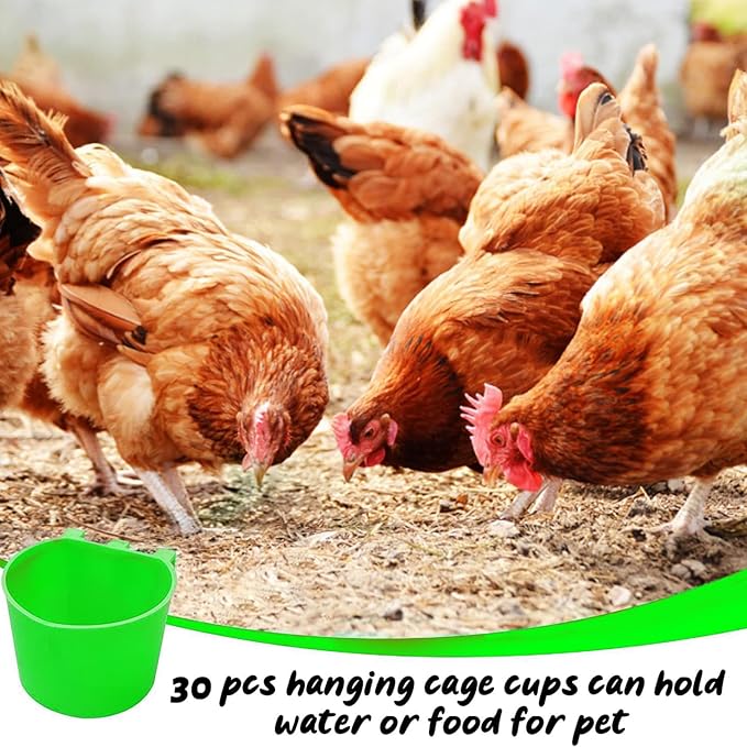 30 Pcs Chicken Coop Feeder Water Cup,8 oz Cage Cups Chicken Feeder Waterer, Cage Cups Birds Hanging Feeders, Chicken Feeder Water Bowl for Parakeet Poultry Pigeon Bunny Wire Cage(Green)