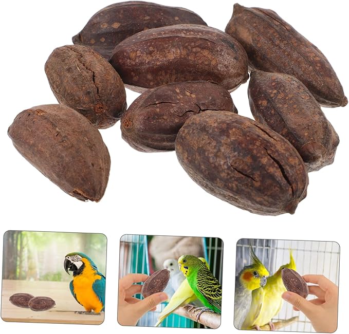 8pcs Parrot Foraging Toy Natural Dried Fruit Chewing Toys Bird for Cage Parrot Chewing Bird Bite