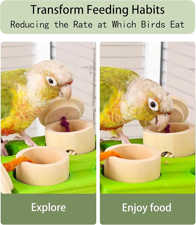 Birdie Puzzle Feeder - Interactive Foraging Toy for Parrots, Parakeets, Cockatiels, Conures | Mental Enrichment & Stimulation Game to Prevent Boredom (Green)