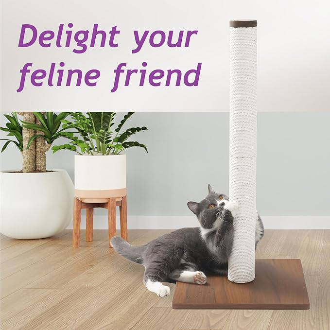 Necoichi 31.5” Tall Cat Scratching Post Kitten Scratcher Paper Rope Scratch Posts Trees with Hanging for Indoor Cats (31.5 inches for Adult Cats, Large, Dark Cherry)
