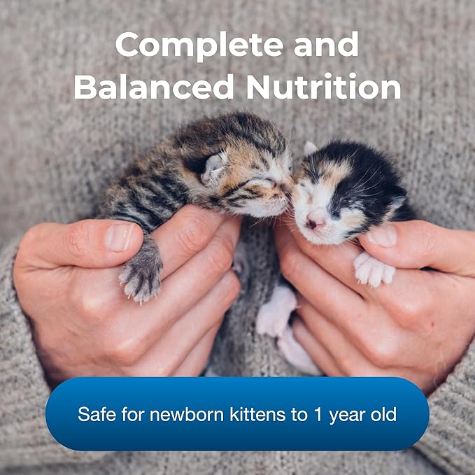 PetAg KMR Kitten Milk Replacer Powder - 6 oz - Powdered Kitten Formula with Prebiotics, Probiotics & Vitamins for Kittens Newborn to Six Weeks Old - Easy to Digest