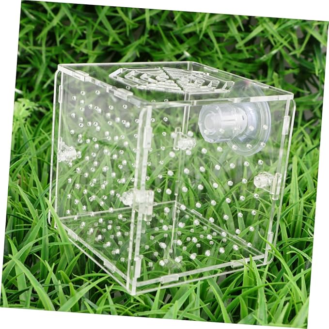 Beaupretty Aquarium Isolation Tank Acrylic Fish Breeding Box for Eggs Protection Observation