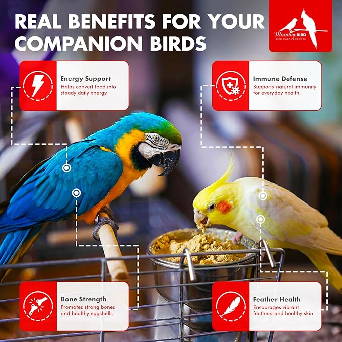 Morning Bird Hearty Bird 2 oz – Daily Multivitamin Powder for Birds – Energy Support - Healthy Growth – Nutrient Supplement for All Bird Types