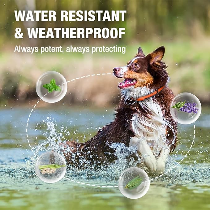 EcoVenger Flea Collars for Dogs & Cats - Flea & Tick Repellent 2-Pack Orange. Built-in Pant-Based Formula Strong Repellency Slow Release, Lasting Protection, Pleasant Aroma, Waterproof