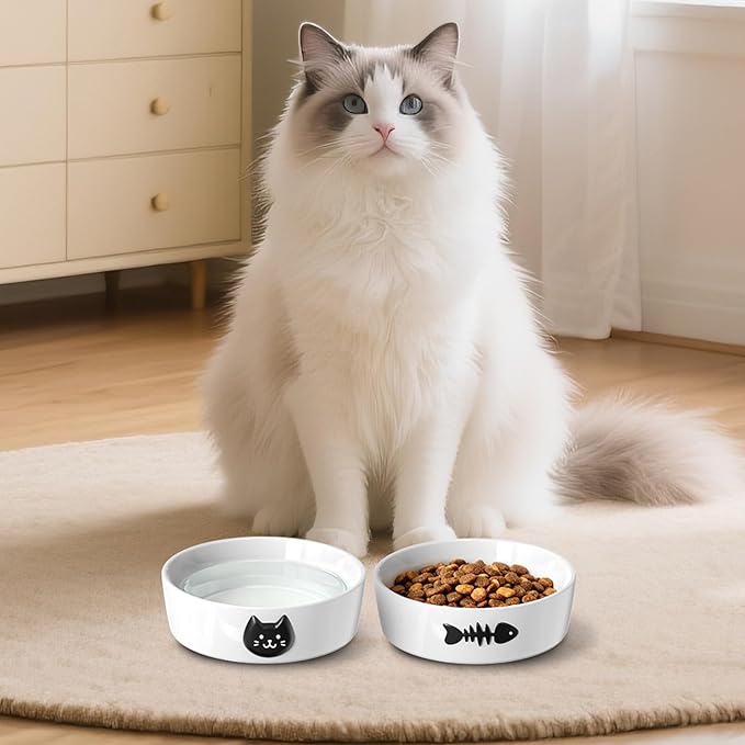 Ceramic Cat Bowls for Indoor Cats - Cat Food Bowl & Water Bowl Set of 2 with Anti-Slip Rings - Whisker Friendly Kitten Supplies Feeding & Watering - Pet Bowls for Kitten and Small Size Dog