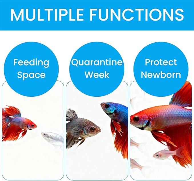 2 Pieces Breeder Box for Fish Tank, Floating Plastic Aquarium Isolation Box, Mesh Fish Nursery Separator Tank Hatchery Incubator for Shrimp, Betta, Clownfish, Guppy, Large 2-Piece Set