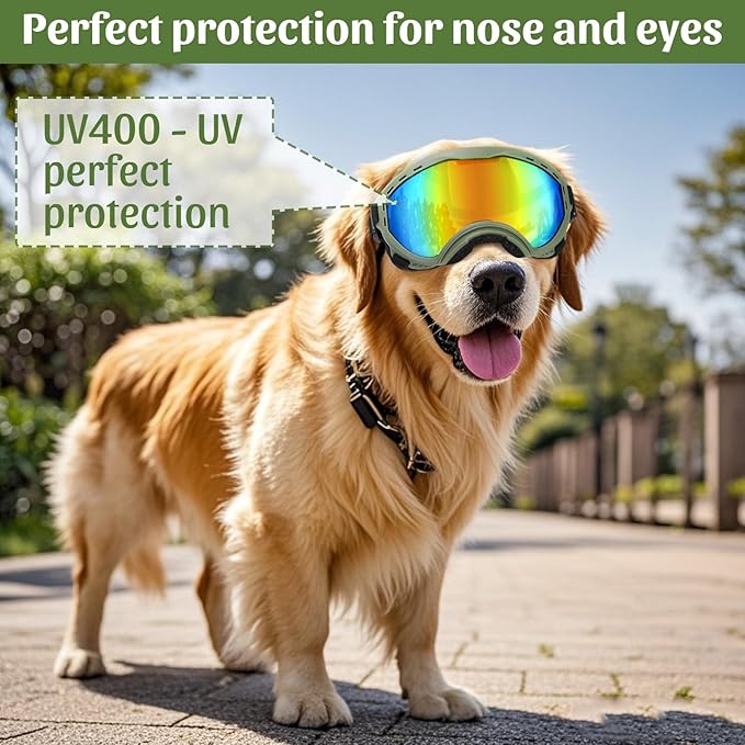 Dog Goggles for Large Dogs, Dog Sunglasses for Eyes Protection, UV Protection for Medium/Large Pet Outdoor, Windproof Anti-Fog Snowproof, Green Box