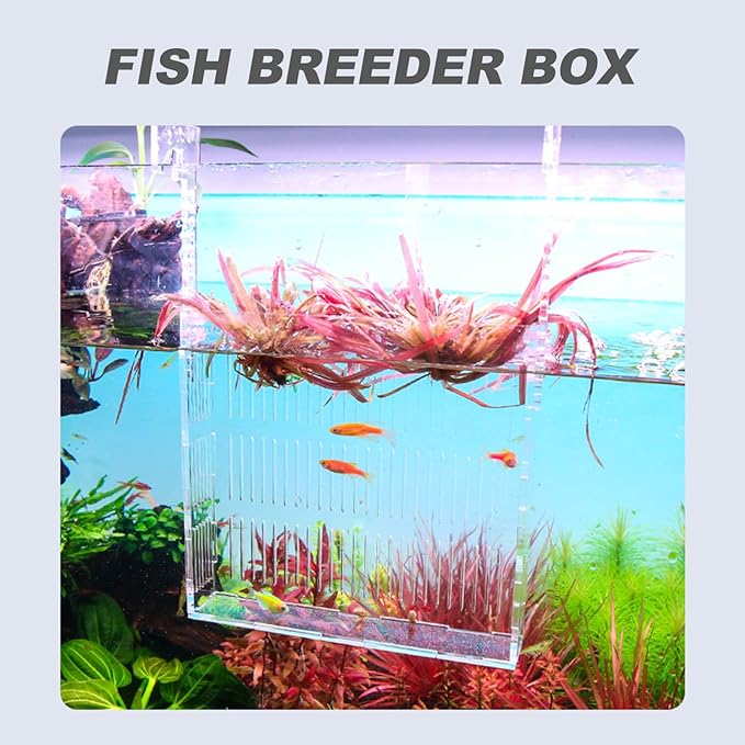 Fish Breeding Box for Aquariums Lightweight Isolated Breeder Tank Viewing for Guppies and Newborns Easy to Install Hanging Design