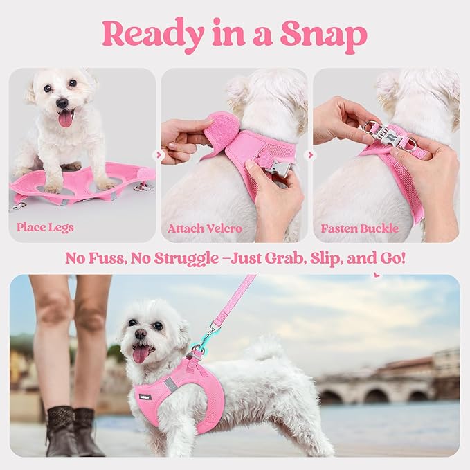 rabbitgoo Dog Harness Small Sized and Leash Set, Step in Soft Light Puppy Vest, Breathable Mesh Pet Harness, Reflective for Safe Easy Walking, Light Pink XXXS