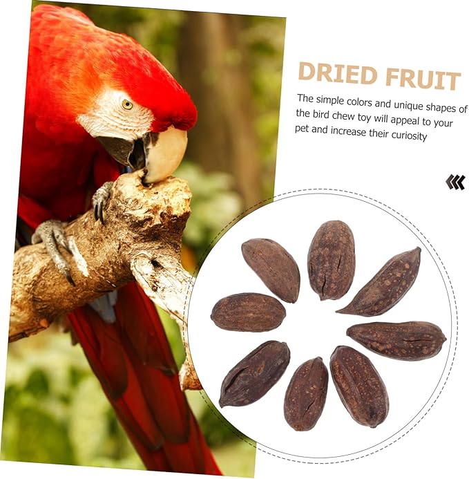 8pcs Natural Dried Fruit Bird Chewing for Parrot Budgie Parakeet Safe Foraging Accessories Healthy Chew for Pet Birds