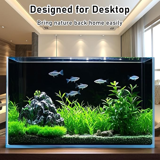 Betta Fish Tank, 2.5 Gallon Nano Nature Aquarium Starter Kit, Ultra-Clear Rimless Desktop Fish Tank with Light, Filter, Gravel and Rock, Aquarium Perfect for Small Fishes, Black