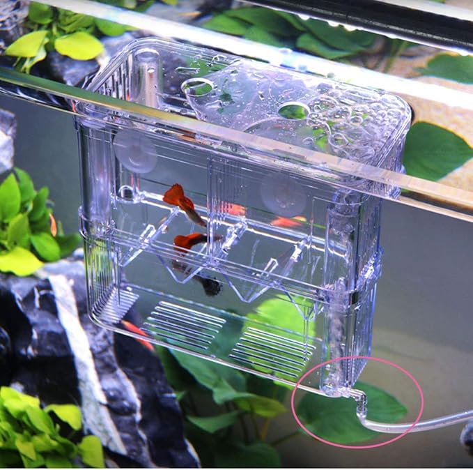 Acrylic Floating Fish Hatchery, Double Layer Fry Hatching Incubator Breeder Box for Aquarium Tank, Safe House for Fish Parenting