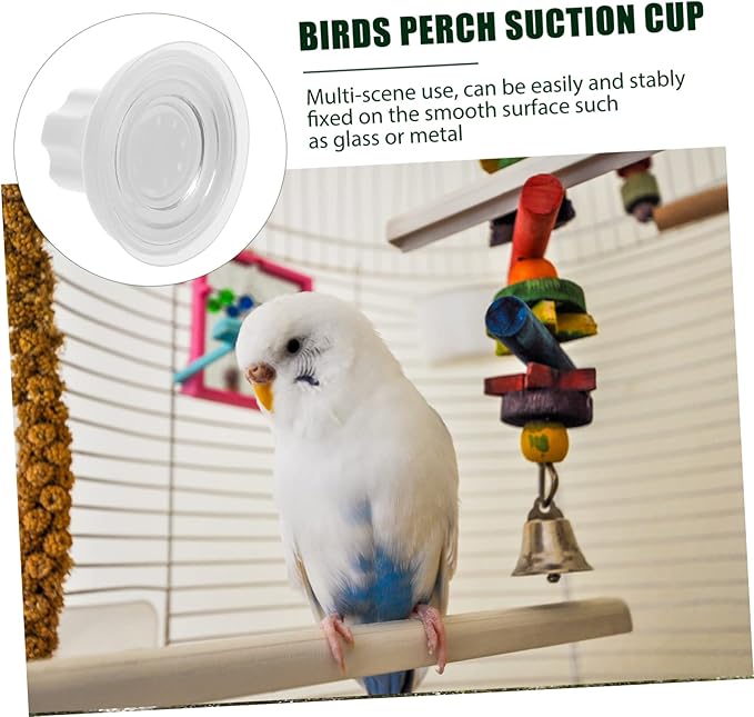 DOITOOL 6pcs Cup Perch Knob for Birds Window-Installed Bird Perch Accessories Strong Absorption for Pets for Smooth for Parrots and Reptiles
