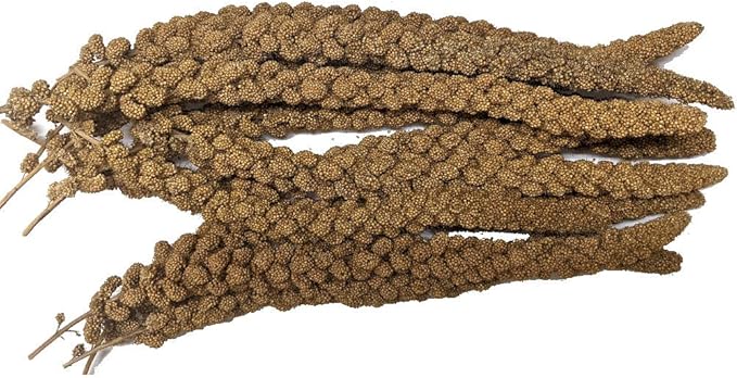 Generic Canadian Millet Spray 5 Lb for Small Birds