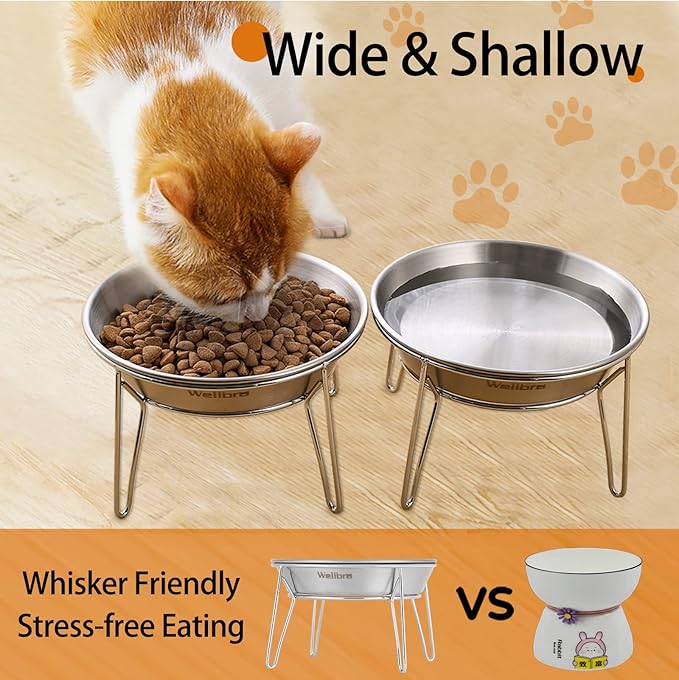 Elevated Cat Bowls, 5.9 Inch Wide Stainless Steel Cat Food Bowls with Metal Stand Whisker Stress-Free, Raised Food and Water Dish for Cats, Kitten, Puppies and Small Dogs-2 Pack