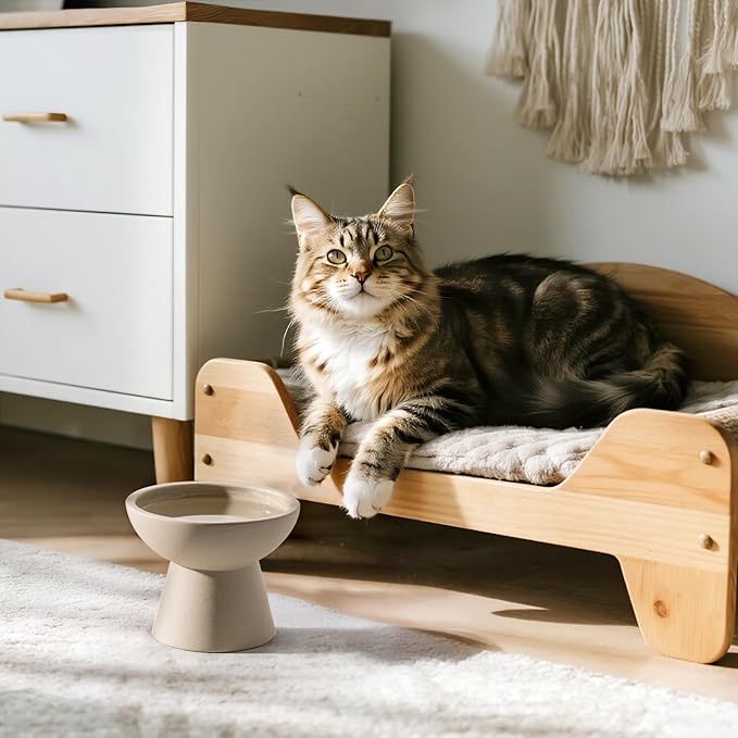 2 Elevated Cat Bowls Extra Wide for Food & Water – Whisker Fatigue, Ceramic Wide Shallow Food Dish, Lead & Cadmium Free, Raised Height for Cats, Pottery Clay (Not Glazed)