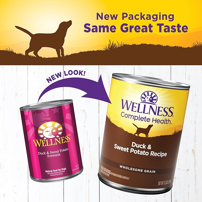 Wellness Complete Health Pate Adult Canned Wet Dog Food, Wholesome Grains, Natural, Duck and Sweet Potato, 12.5 oz, Pack of 12 Cans