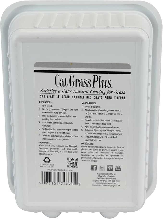 Miracle Care Cat A'bout Cat Grass Kit for Indoor Cats, 5.25 Ounce, Hairball Control, Anti-Inflammatory, Improves Digestion and Metabolism