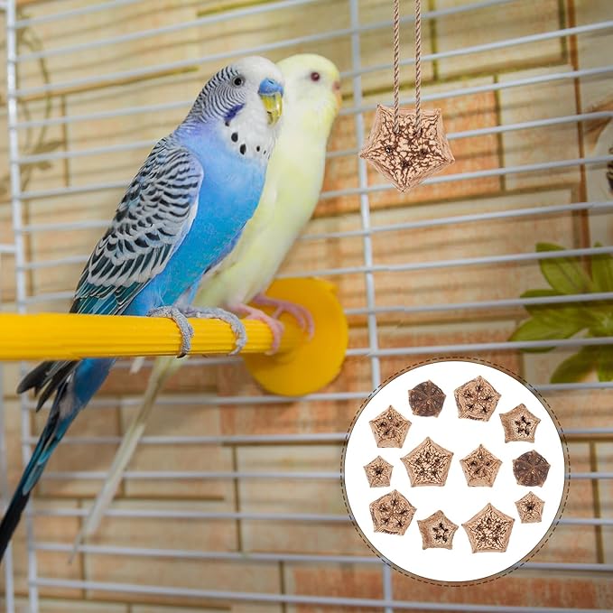 12pcs Natural Parrot Chewing for Budgie Parakeet Bird Foraging Accessories with Crunchy Texture Healthy Beak Grinding to Prevent Furniture Damage and Loneliness