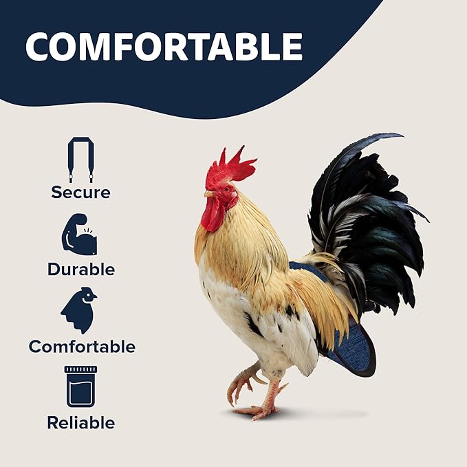 Hen Holster Wrap-Around Bird Diaper & Harness for Hens, Roosters, Ducks, Geese - with Removable Vinyl Liner, Adjustable Fit for Outdoor Adventures & Indoor Use - Easy to wear - Large, Denim