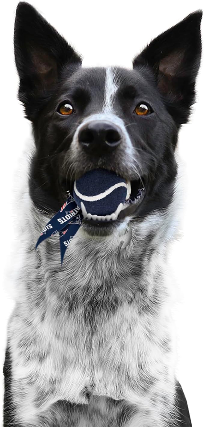 Littlearth NFL Pet Ball Launcher