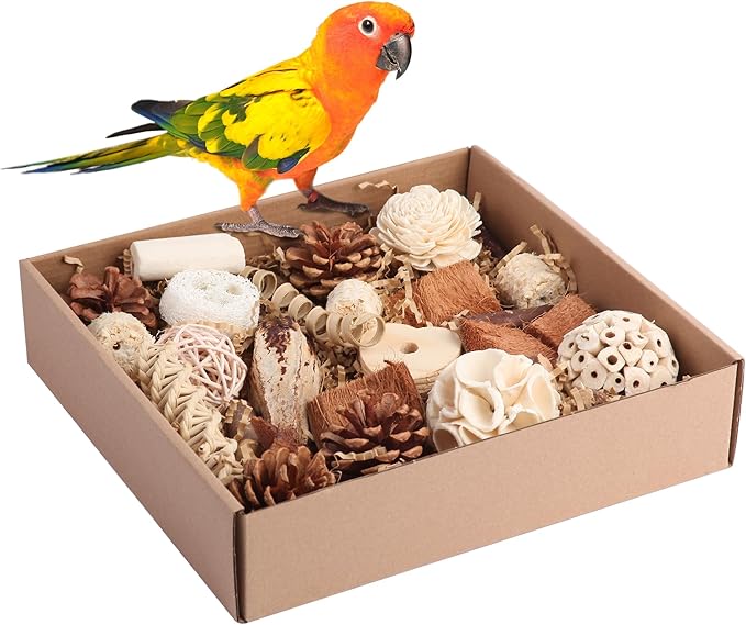 Bird Toys for Parakeets, Natural Cockatiel Foraging Toy Box for Parrots, Conures, Budgies, Macaws, Lovebirds, and Other Small to Medium Birds
