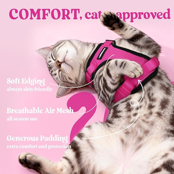 rabbitgoo Cat Harness and Leash for Walking, Escape Proof Soft Adjustable Vest Harnesses for Cats, Easy Control Breathable Reflective Strips Jacket, Rose Red,S