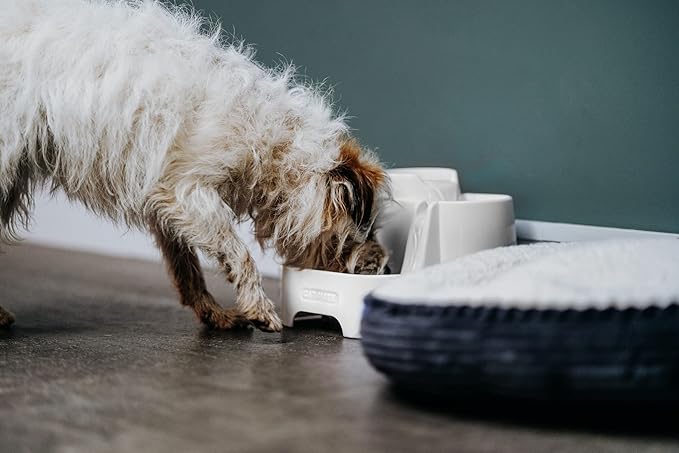 Cat Mate Multi-Level Pet Water Fountain (335) - BPA and BHT Free 3-Stage Filter, for Cats & Small Dogs, Quiet and Hygienic Drinking Fountain, 70 fl. Oz Capacity