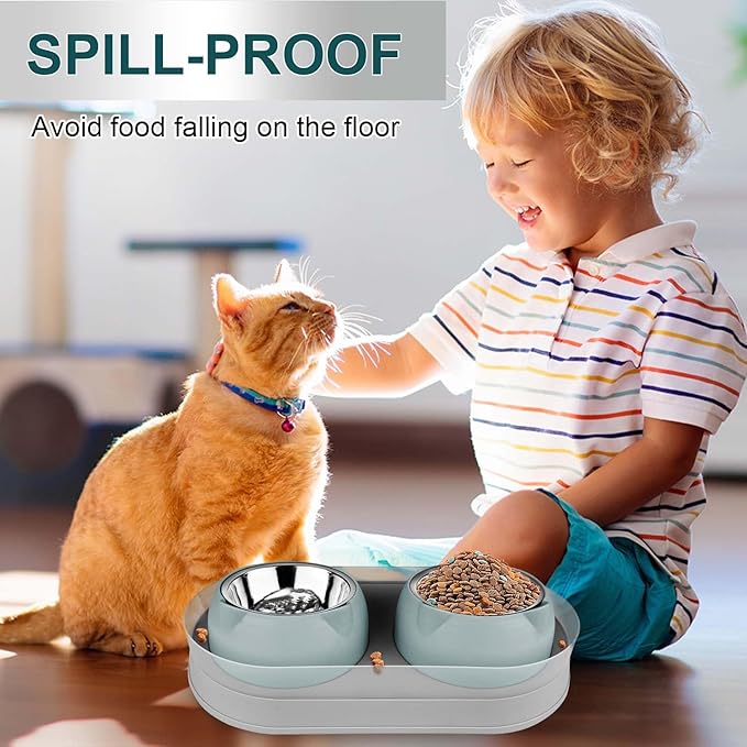 Elevated Raise Tilted Cat Food Bowls,with Stand Stainless Steel, Anti Vomiting, Double Cat Food and Water Bowl Set (Grayblue)
