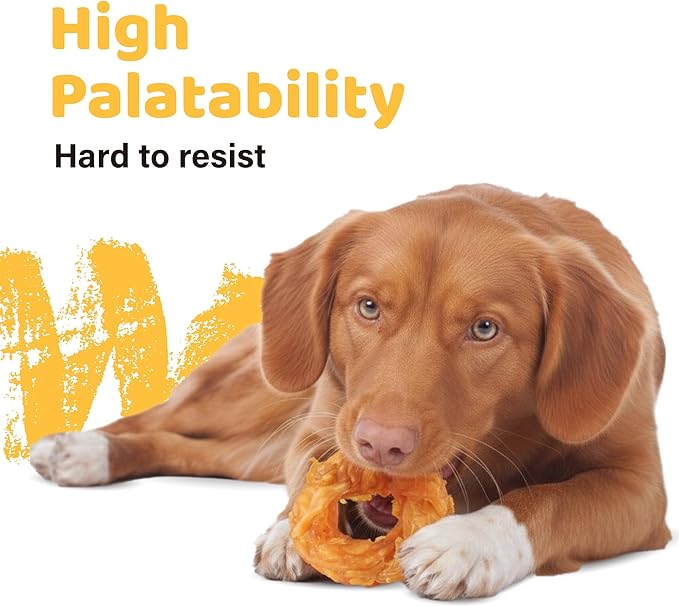iPaw Turkey Tendon for Dogs 40 Pcs Bulk Pack, Ingredient Sourced from USA, Hypoallergenic, All Natural Human Grade Puppy Chew, Dog Treats for Signature Series, Rawhide Alternative, Ring (Small)