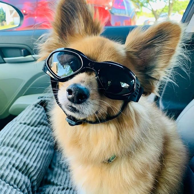 Petleso Dog Goggles Medium Breed, Dog Sunglasses for Medium Dogs Eye Protection Windproof, Black
